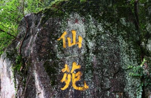 永春闽南水仙:泉州永春特产乌龙茶,国家地理标志产品-永春水仙茶,产地宝