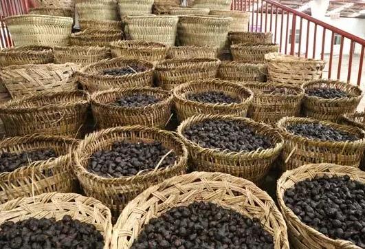 布拖附子:凉山布拖县特产中药附子,国家地理标志产品,产地宝-布拖附子,产地宝