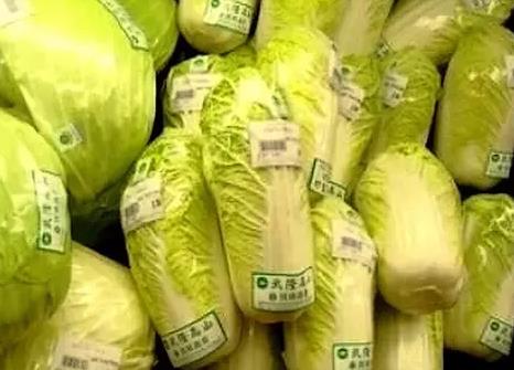 武隆高山白菜:重庆市武隆区特产蔬菜,地理标志产品,产地物产-高山白菜,产地宝