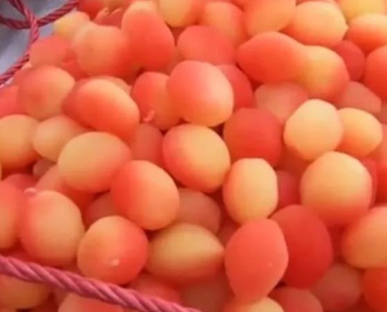 重庆特产软糖果水果多少钱一斤？哪里有卖软糖果？,产地宝