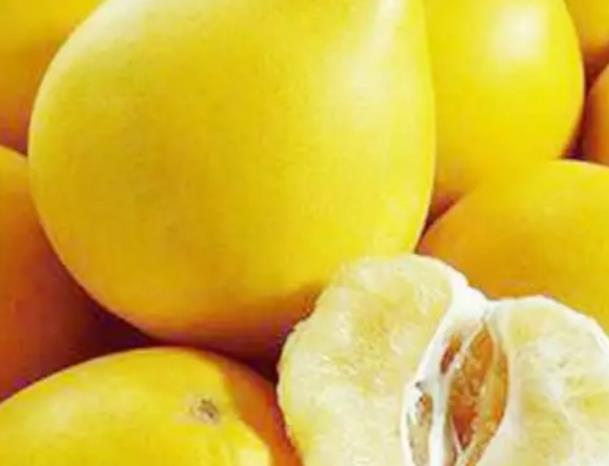 平洲金丝柚：佛山市特产水果平洲金丝柚,产地农产品-平洲金丝柚,产地宝