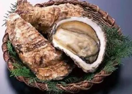 老河口牡蛎:潍坊奎文区特产牡蛎,国家地理标志产品老河口牡蛎,产地宝