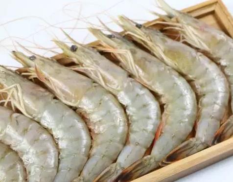 莱州对虾:烟台莱州市特产对虾,国家地理标志产品,产地海产莱州对虾,产地宝