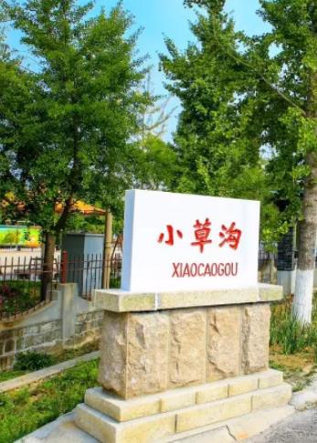 小草沟银杏酒:烟台莱州市郭家店小草沟村产地特产-银杏酒,产地宝
