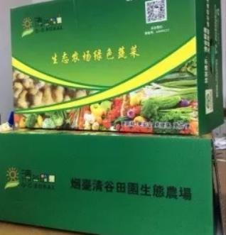 牟平清谷田园黄瓜:烟台牟平区昆嵛山特色产品,产地蔬菜黄瓜,产地宝