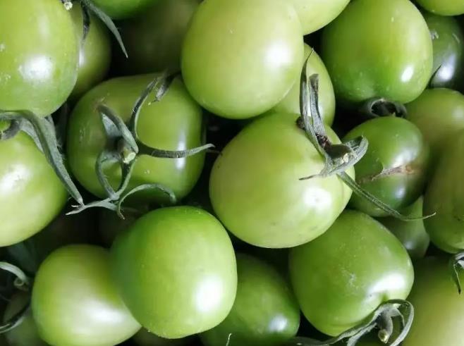 牟平益生蔬菜:烟台牟平昆嵛山特色产品益生蔬菜,产地生态农产品,产地宝