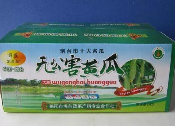 埠前黄瓜:烟台莱阳市羊郡镇特产埠前黄瓜,产地蔬菜埠前黄瓜,产地宝