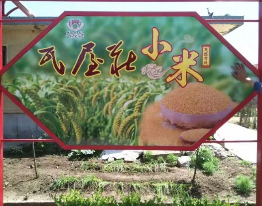 瓦屋庄小米:烟台莱阳市冯格庄特产瓦屋庄小米,网销产地杂粮,产地宝