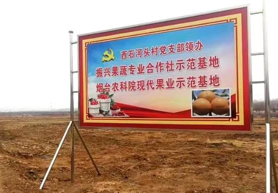 西石河头大樱桃:烟台莱阳沐浴店镇西石河头村特色农产品大樱桃,产地宝