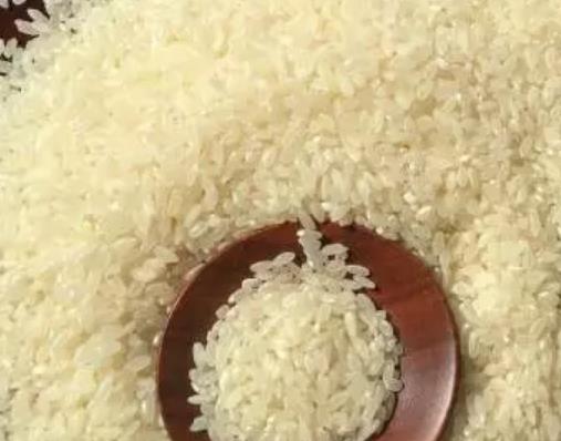 明水香米:济南章丘明水镇特产明水香米,国家地理标志产品,产地宝