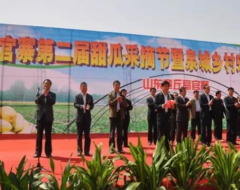 高官寨甜瓜:济南章丘高官寨镇特产甜瓜,产地农产品高官寨甜瓜,产地宝