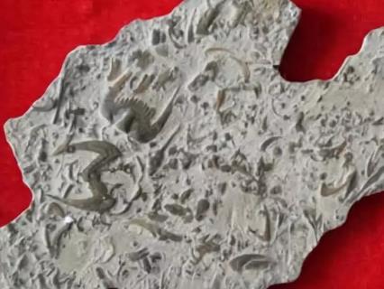 莱芜燕子石:济南莱芜特产燕子石,产地网销工艺品,产地宝