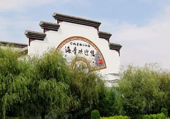 胶南绿茶:青岛黄岛区海青镇特产胶南绿茶,地理标志产品,产地宝