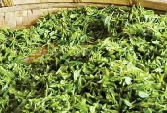 鳌福绿茶:青岛市即墨特色农产品鳌福绿茶,产地网销茶叶,产地宝