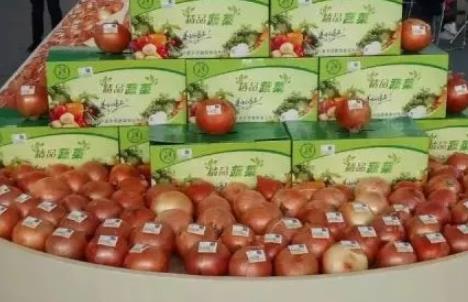 仁兆圆葱:青岛平度特产仁兆圆葱,地理标志产品,网销产品圆葱,产地宝
