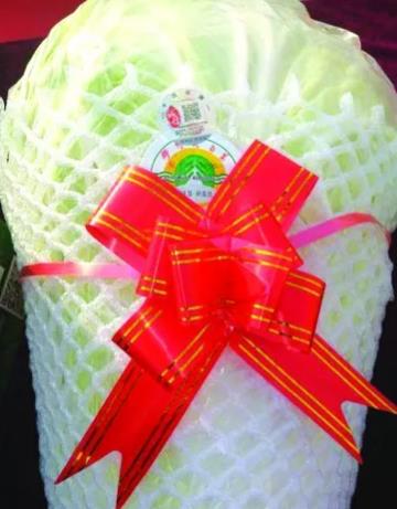 胶州大白菜:青岛胶州市特产大白菜,国家地理标志产品白菜,产地宝