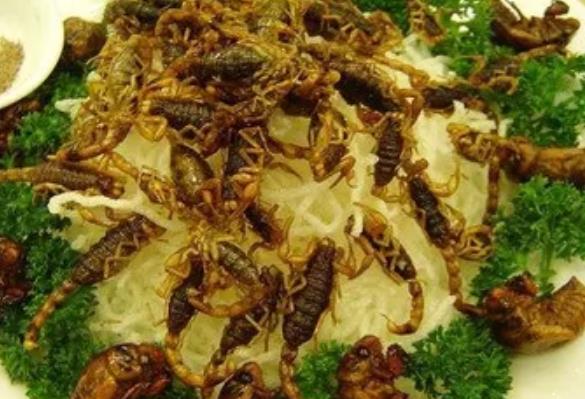沂蒙全蝎:临沂市沂水特产沂蒙蒙山全蝎,国家地理标志产品,产地宝