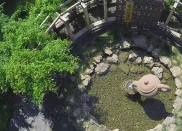 沂水绿茶:临沂沂水县特产蒙山龙雾茶,国家地理标志产品绿茶,产地宝