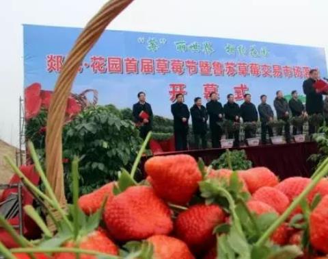 郯城花园乡草莓:临沂市郯城县农特产花园乡草莓,产地宝