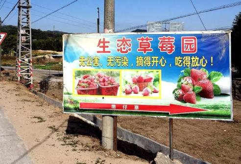 水唇镇墩仔寨草莓:汕尾市陆河县水唇镇墩仔寨农特产草莓,产地宝