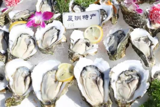 汕尾红草镇晨洲蚝:汕尾城区红草镇海产品农特产晨洲蚝,产地宝