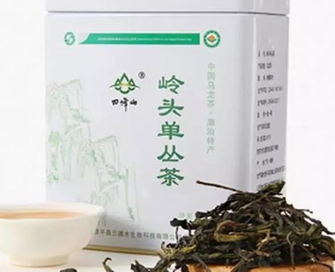 岭头单丛茶:潮州饶平县农特产岭头单丛茶,国家地理标志产品,产地宝