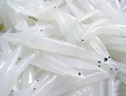 陆浑银鱼:洛阳嵩县田湖镇陆浑水库水产品农特产陆浑银鱼,产地宝