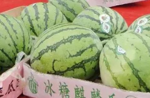 夏邑西瓜:商丘市夏邑县农特产西瓜,国家地理标志产品西瓜,产地宝