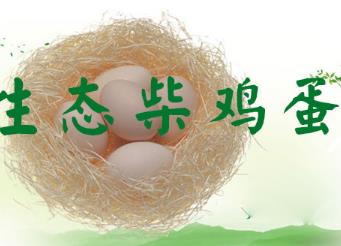 唐河生态柴鸡蛋:南阳唐河县祁仪乡特产农产品生态柴鸡蛋,产地宝
