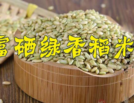 唐河富硒绿香稻米:南阳唐河县特产农产品富硒绿香稻米,产地宝