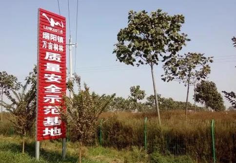开封市兰考县堌阳镇特产农产品桐木乐器 蚕桑 西瓜,产地宝