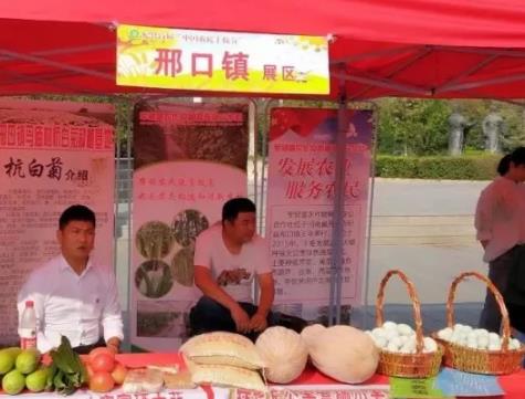 开封市杞县邢口镇特产农产品大蒜 鸭蛋 蔬菜 石榴,产地宝
