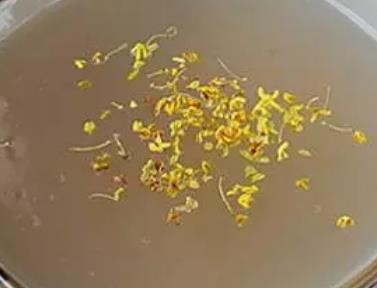 余杭三家村藕粉:杭州余杭特色美食三家村藕粉,产地食品藕粉,产地宝