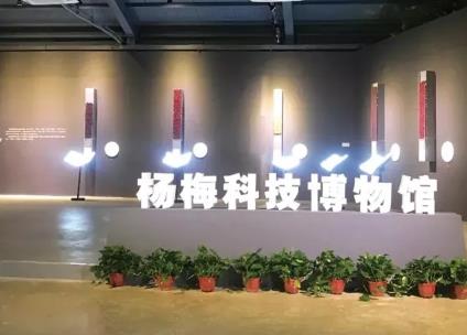 仙居杨梅:台州市仙居县特产杨梅,杨梅之乡产地水果杨梅,产地宝