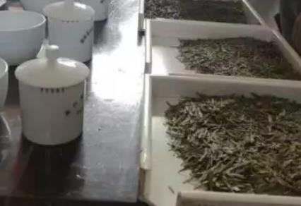 仙居有机茶:台州市仙居县特产有机茶,产地农产品茶叶,产地宝