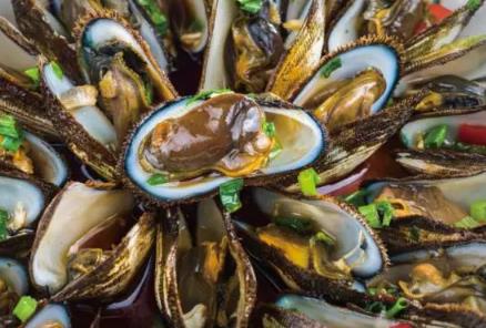温岭青蚶:台州市温岭特色美食海鲜葱油青蚶,产地宝