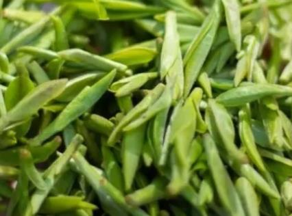 乌牛早茶:温州永嘉乌牛镇特产乌牛早茶,产地农产品茶叶,产地宝