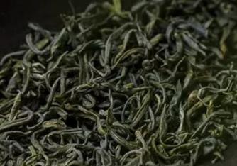 泰顺三杯香:温州泰顺特产三杯香,国家地理标志产品茶叶,产地宝