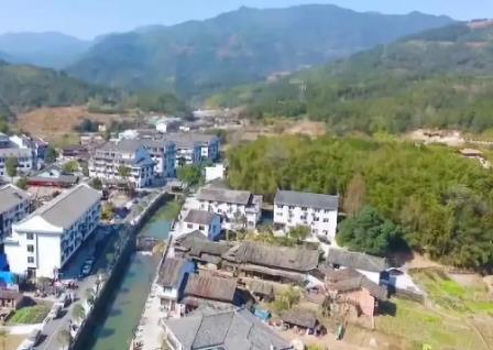 竹里畲族乡毛竹:温州泰顺竹里畲族乡特产毛竹农产品,产地宝
