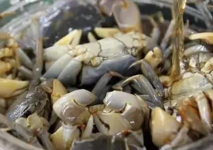 上虞醉蟹:绍兴市上虞区特色美食醉蟹,产地食品醉蟹,产地宝