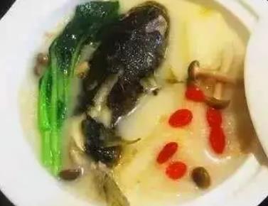 锦溪鲃鱼:苏州昆山锦溪特产鲃鱼,产地水产品小河豚鲃鱼,产地宝