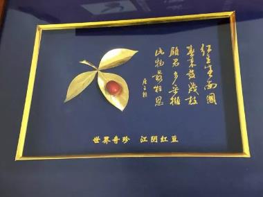 江阴红豆:无锡市江阴市特产工艺品顾山红豆,产地宝