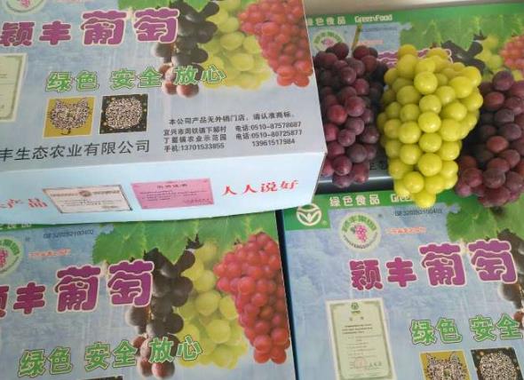 宜兴颖丰葡萄:无锡市宜兴特色农产品颖丰葡萄,产地水果,产地宝