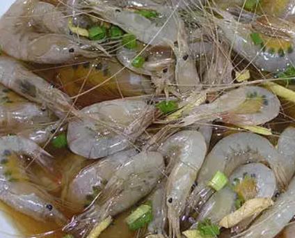 启东青虾:南通市启东特色水产品青虾,产地海产美食炝虾,产地宝