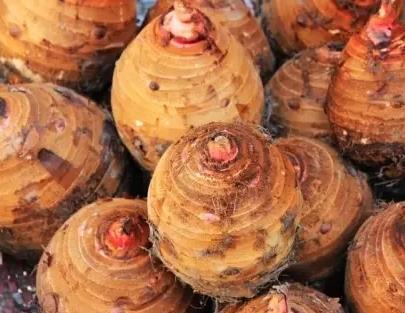 海门香沙芋艿:南通海门特产香沙芋艿,产地农产品芋艿,产地宝