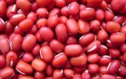 海门大红袍赤豆:南通海门特产大红袍红豆,国家地理标志产品,产地宝