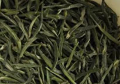 金坛雀舌:常州市金坛区特产雀舌,产地绿茶茶叶农产品,产地宝