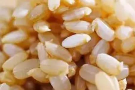 金坛有机稻米:常州金坛区朱林镇黄金村特色农产品有机稻米,产地宝
