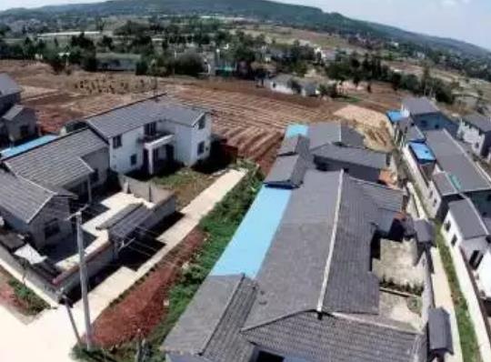 街子镇岳家村蔬菜花木:绵阳市游仙区特色农产品,产地宝