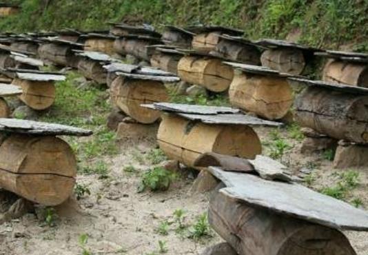 平武羌家土蜂蜜:绵阳平武特产土蜂蜜,产地农产品食品,产地宝